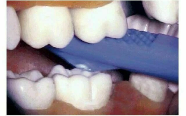 THỬ NGHIỆM CẮN