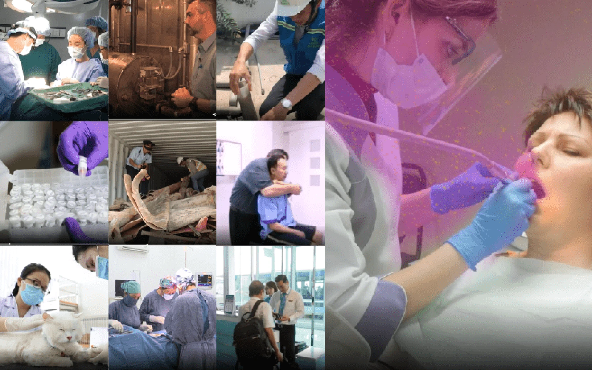 Top 10 nghề có nguy cơ mắc các bệnh truyền nhiễm cao nhất