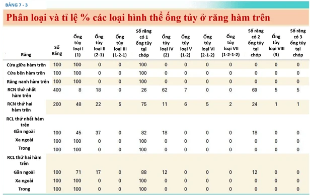 Hình thái học răng và sửa soạn xoang tuỷ 5