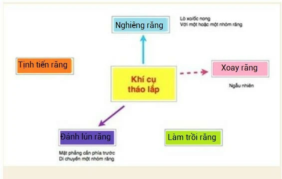 Hình thái học răng và sửa soạn xoang tuỷ 12