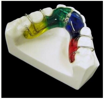 SERIES TỰ HỌC CHỈNH NHA: TỔNG QUAN VỀ CÁC TRƯỜNG HỢP KHÔNG NHỔ RĂNG Hàm Schwarz hàm dưới