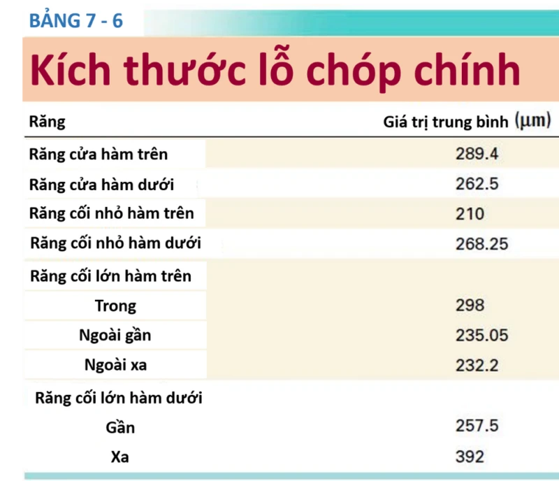 kích thước lỗ chóp chính