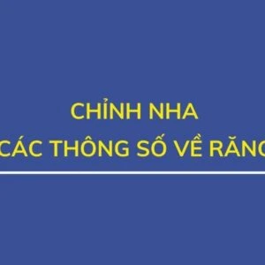 Chỉnh nha ( phần 11): các thông số về răng - THONG SO