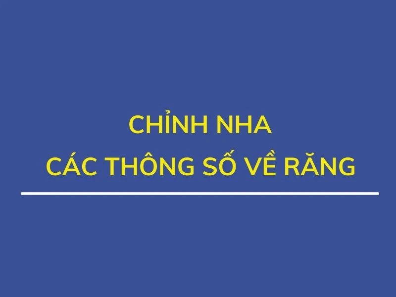 Chỉnh nha ( phần 11): các thông số về răng - THONG SO
