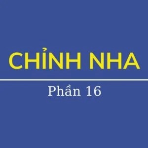 Chỉnh nha ( phần 16) - Chinh nha