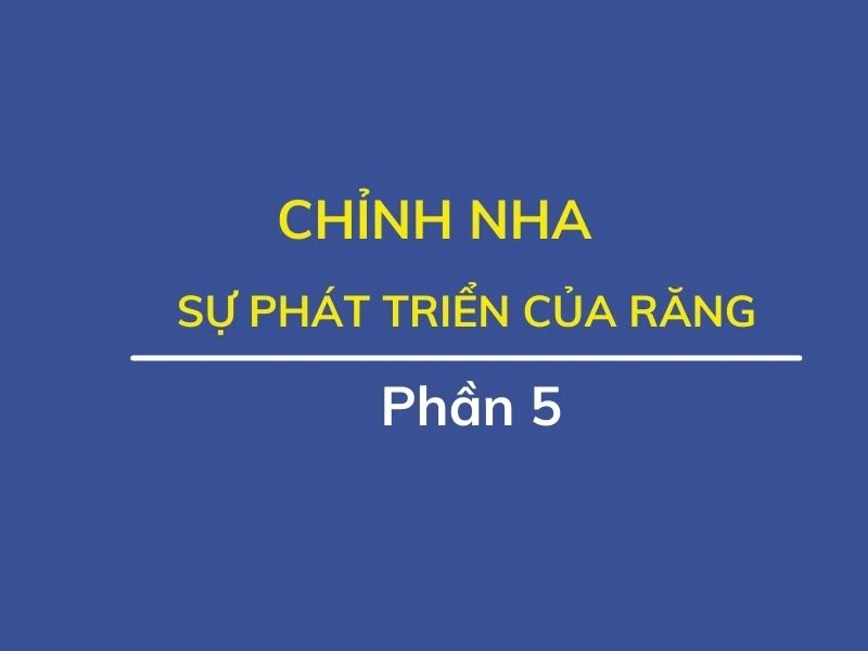 Chỉnh nha (phần 5): sự phát triển của răng
