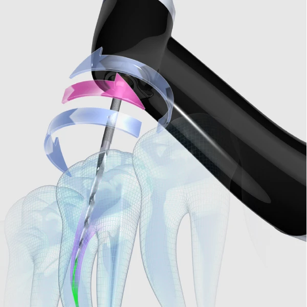 Máy định vị chóp tích hợp máy điều trị Morita DentaportZX