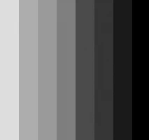 Xuất hiện thấu quang trên phim X-quang - liệu có phải là sâu răng? vạch màu