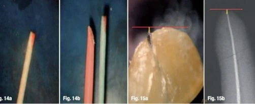 tùy chỉnh congutta