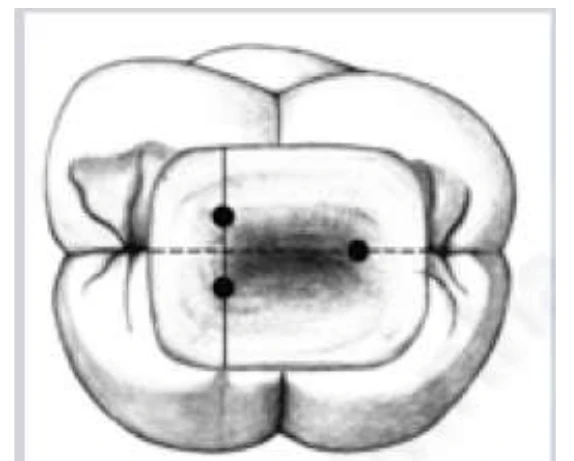QUY LUẬT ĐỐI XỨNG 2