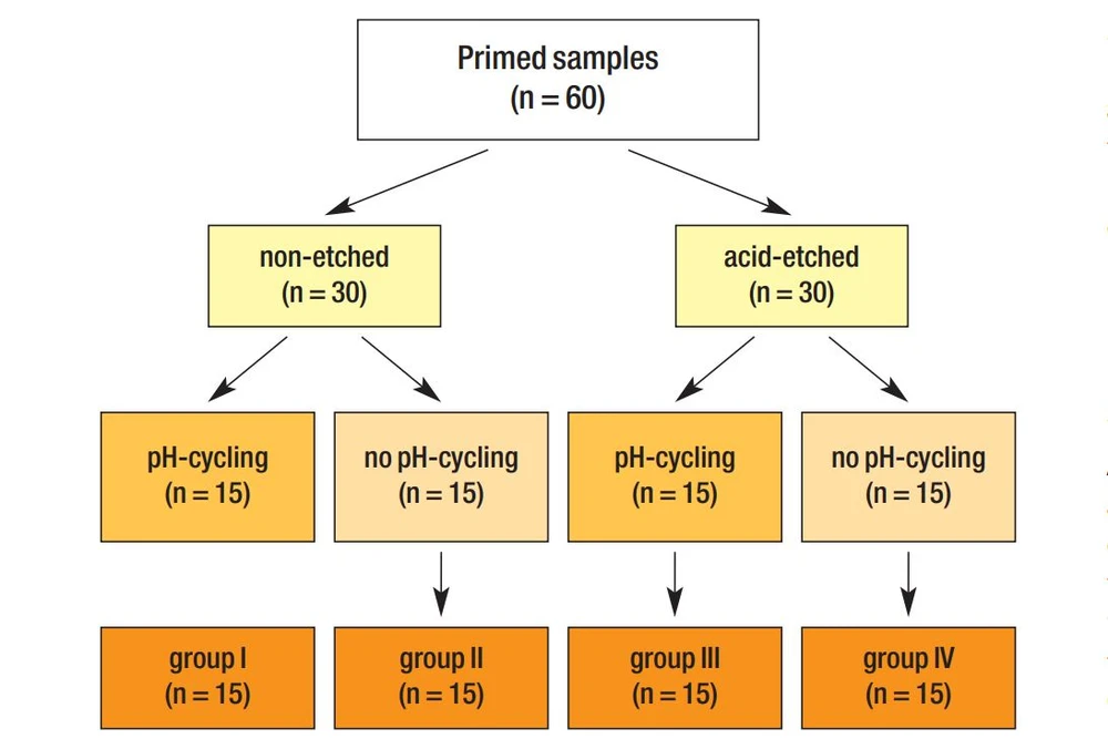hình thử nghiệm