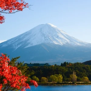 Du lịch nhật bản - học nội nha - rinh chứng chỉ về nhà (2025) - 285 file