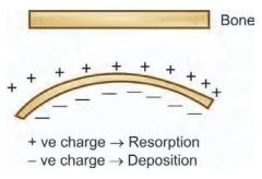 Sinh học di chuyển răng - ứng dụng - 35 file
