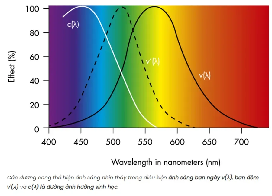èn trám quang thế hệ mới