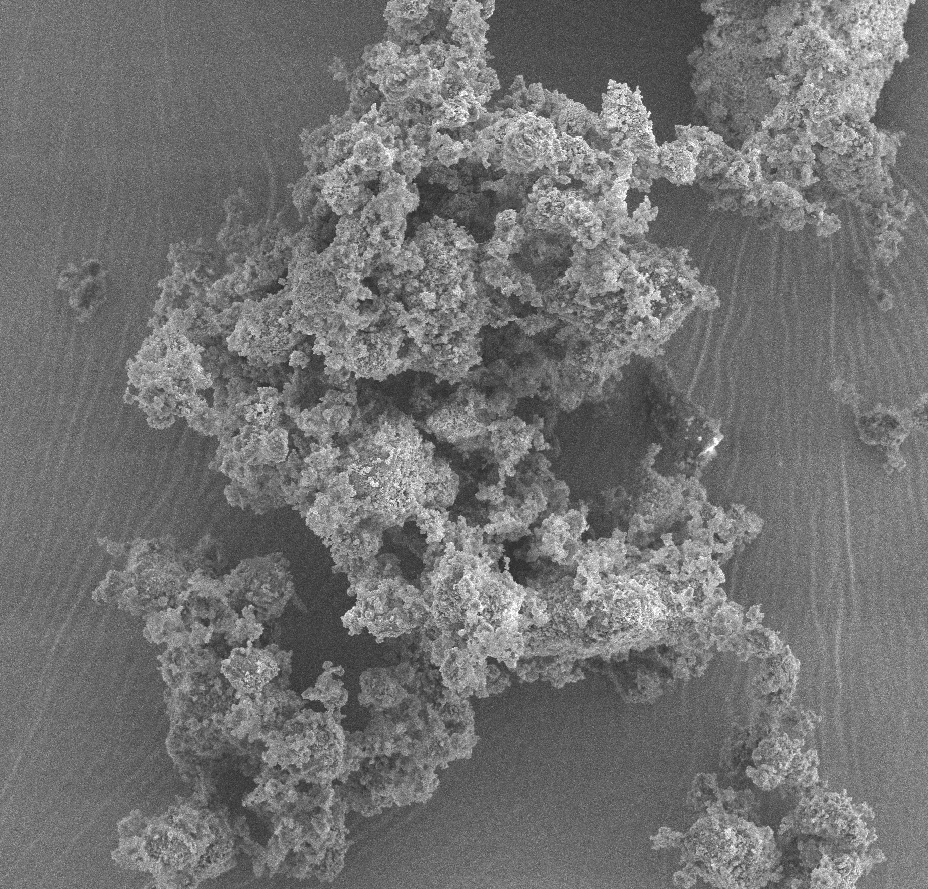 Thủy tinh sinh học và ứng dụng trong lĩnh vực y tế