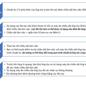 Xác định chiều dài làm việc và lợi ích của máy định vị chóp điện tử - Xac dinh chieu dai lam viec voi may dinh vi chop die...