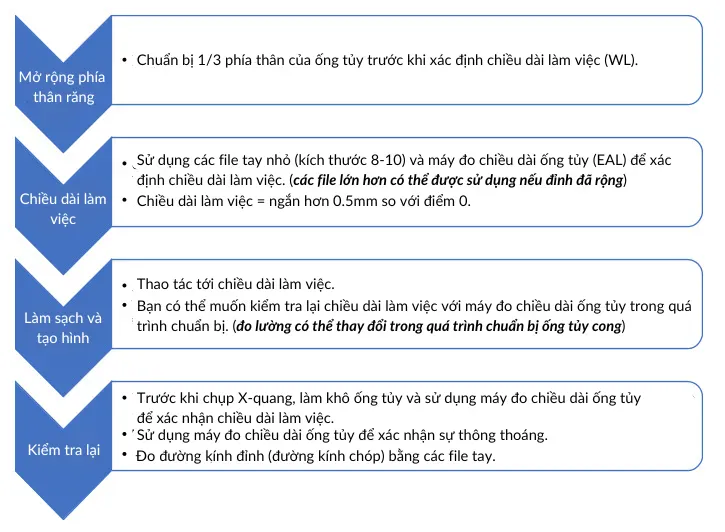 Xác định chiều dài làm việc và lợi ích của máy định vị chóp điện tử trong điều trị nội nha